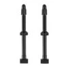 Valves Tubeless Pour Roues 65mm (x2)