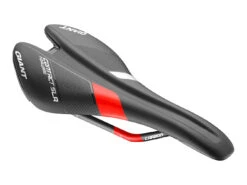 Contact SLR Forward Team