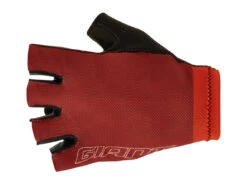 Gants Courts Laurus 8 Gants Courts Laurus -Magasin De Vélo SA8300116SA8300117SA8300118SA8300119SA8300120